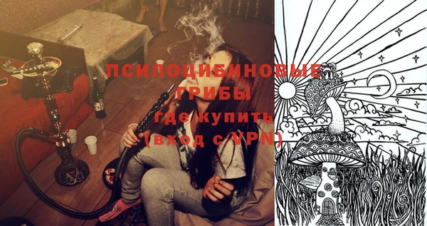 молекула духа Белоозёрский