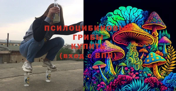 крисы Белокуриха