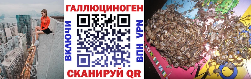 Галлюциногенные грибы GOLDEN TEACHER  Шадринск 